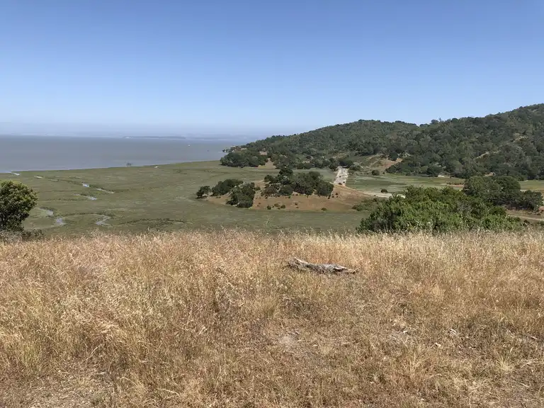 China Camp State Park loop — China Camp State Park bike Tour Komoot