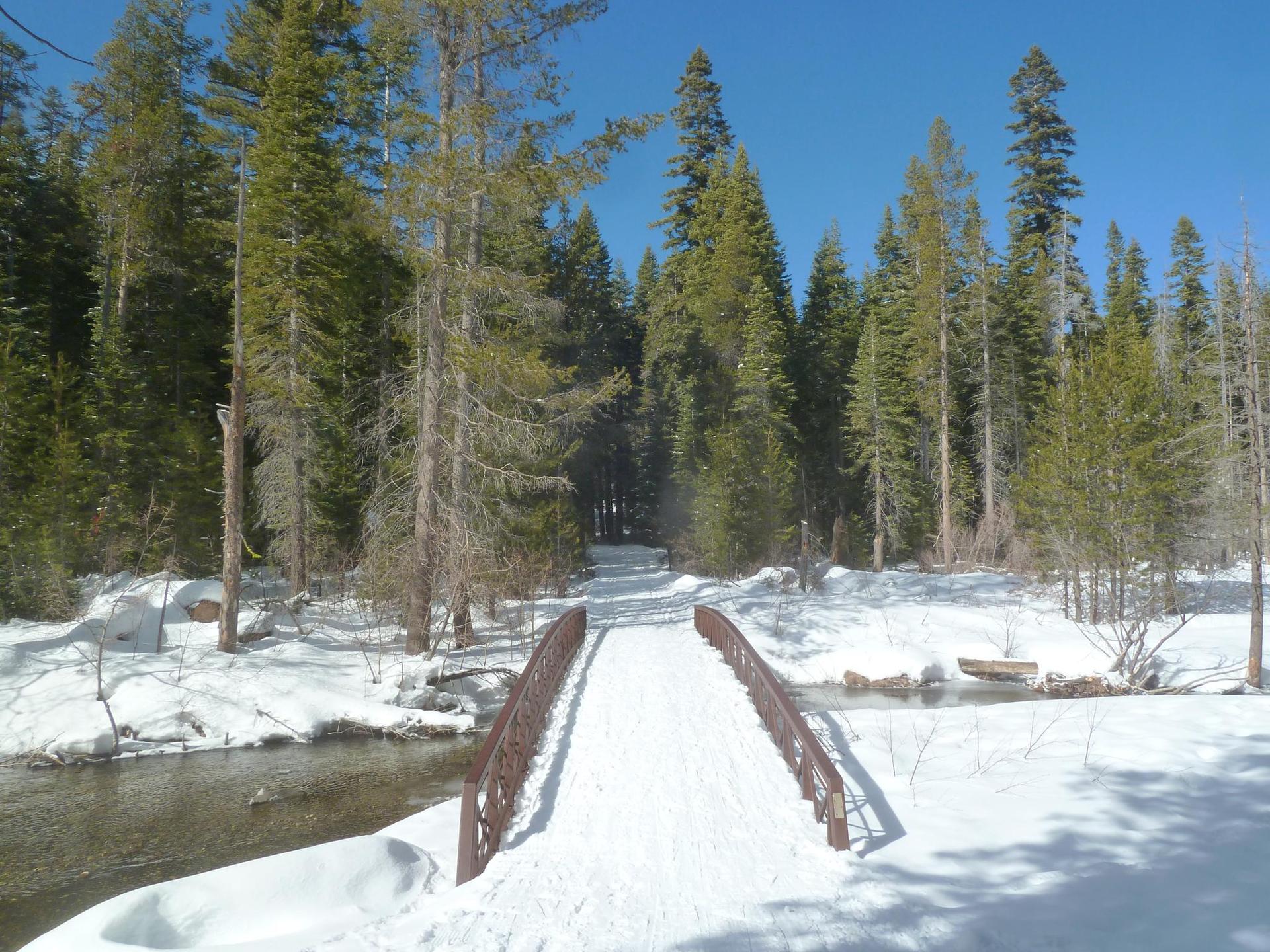 Snow-covered bridge over a stream leading into a sunny winter pine forest.