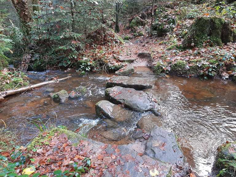 Bad Teinach Rötelbachtal Altburg Schweinsbachtal Hirsau Wanderung