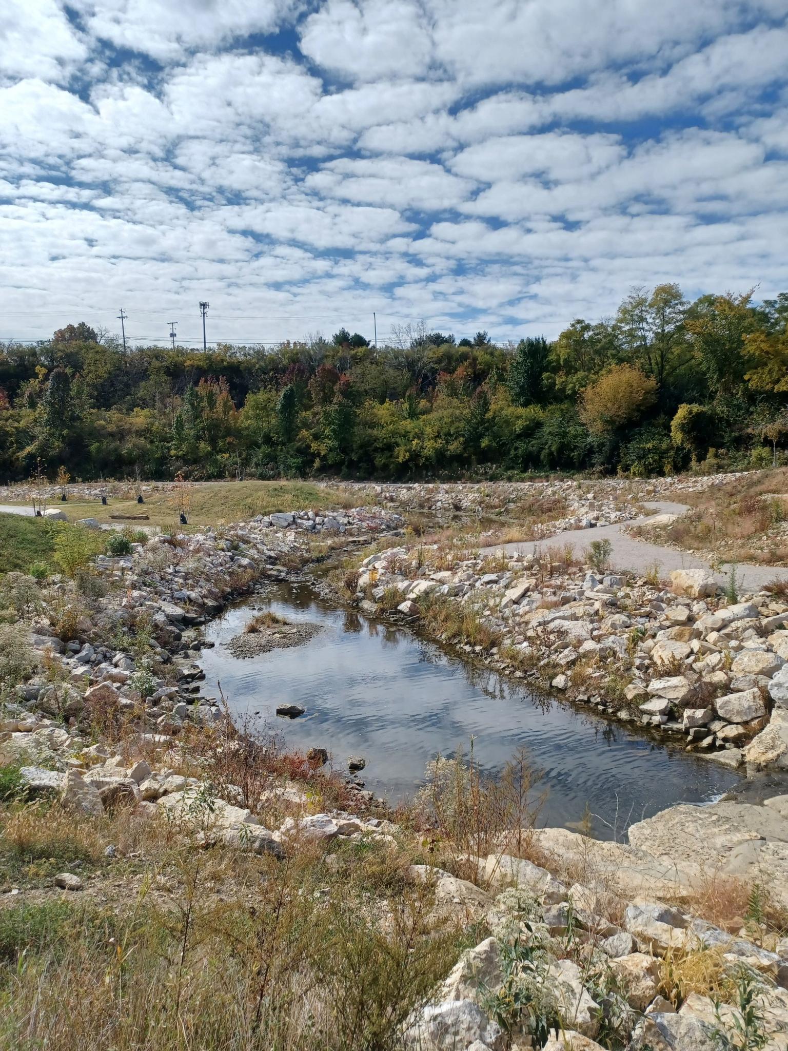Small stream with rocky banks, green foliage, under a cloudy sky.