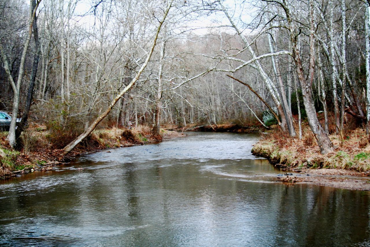 A calm river flows through a forest of bare trees under an overcast sky. - Gunpowder Falls Big Loop