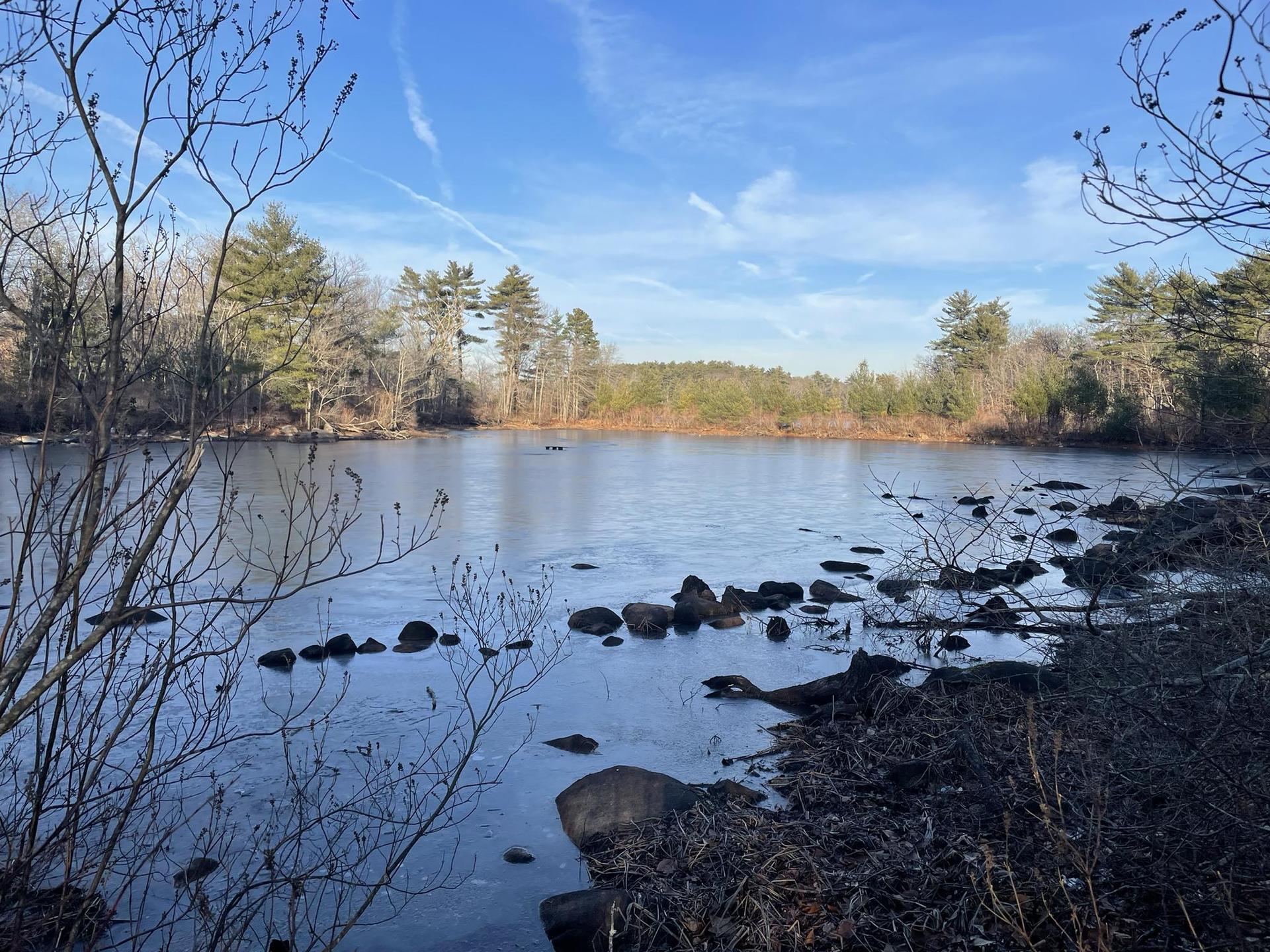 Partially frozen lake with bare branches and distant evergreen trees under a blue sky.