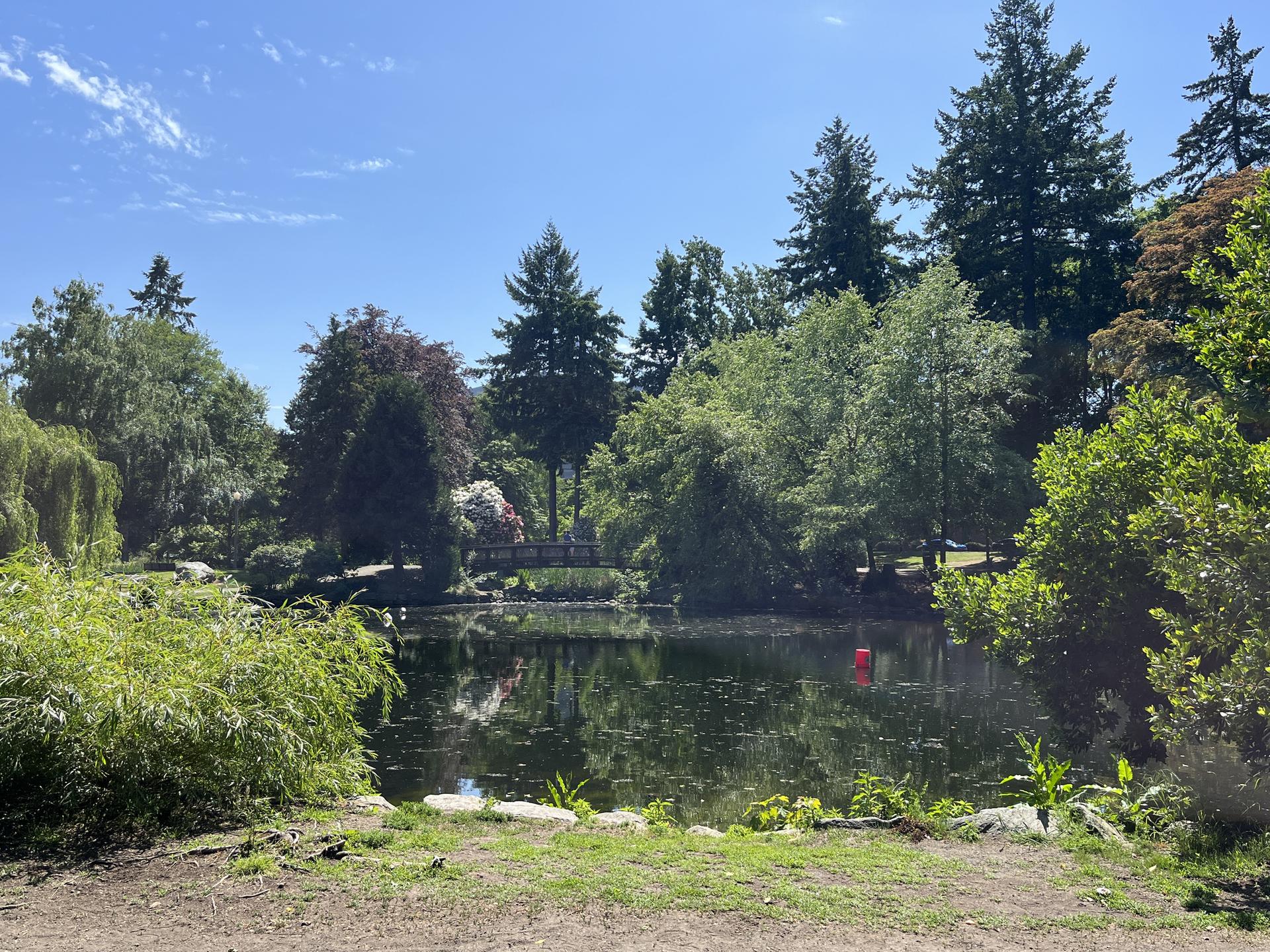 Sunny pond surrounded by lush green trees and a distant bridge.
