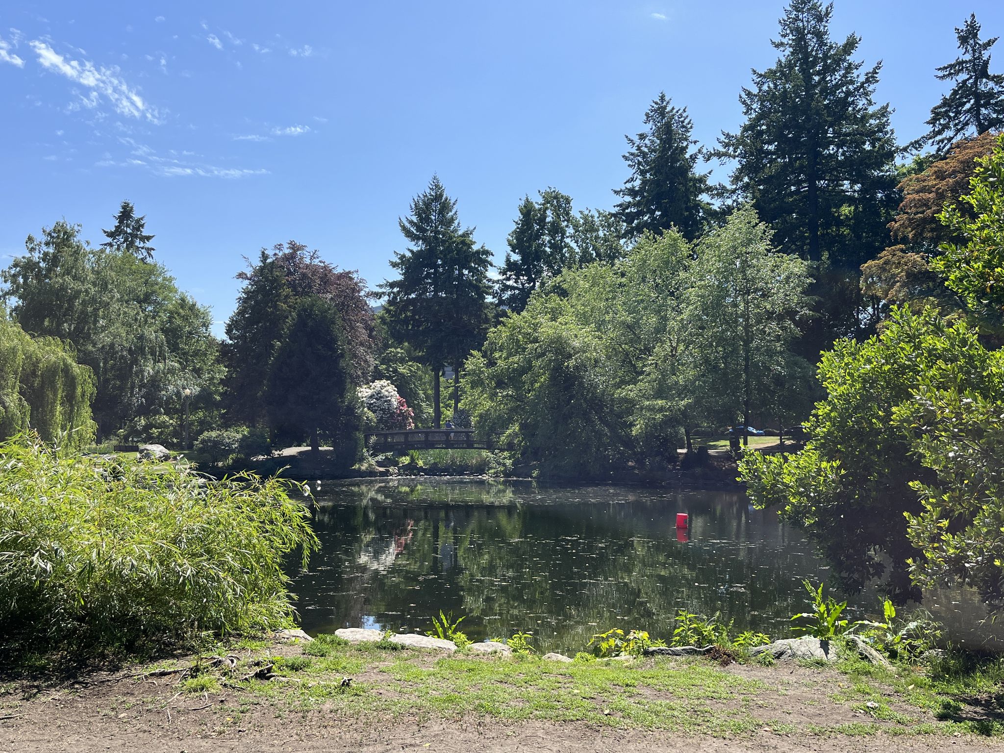 Sunny pond surrounded by lush green trees and a distant bridge. - Wright Park Loop