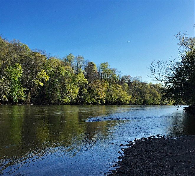 A wide river flows past a forested bank under a clear blue sky. - Shallow Ford State Historic Site loop from Lewisville