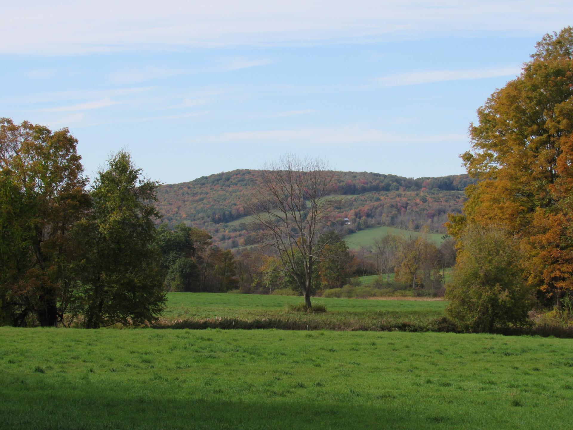 Vast green field with distant forested hills under a bright blue sky.