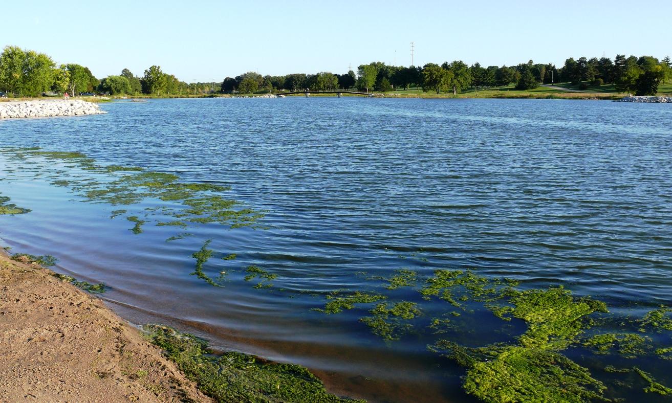 Clear blue lake with green algae near a rocky and sandy shore.