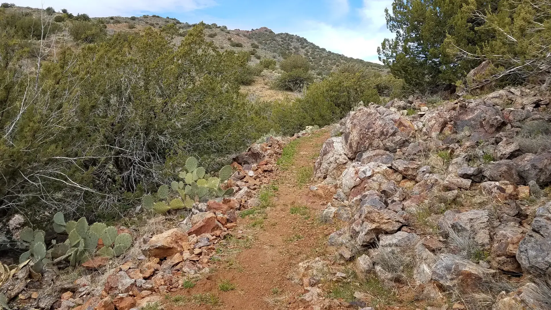 A narrow dirt path through rocky, arid terrain with green shrubs.