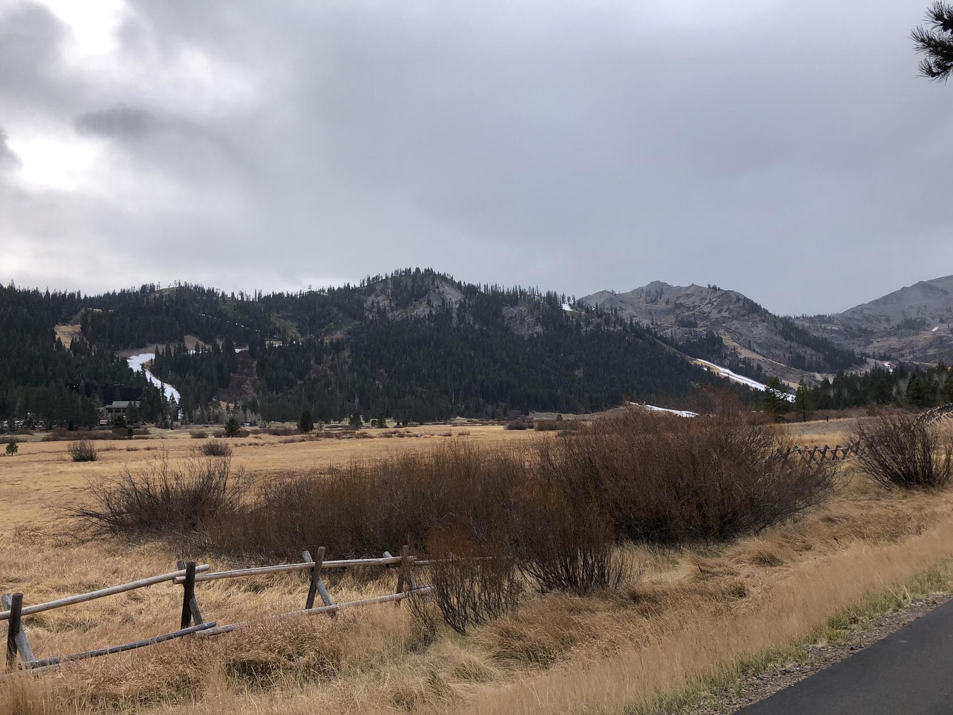 Overcast sky above a brown field and distant forested mountains with snow.