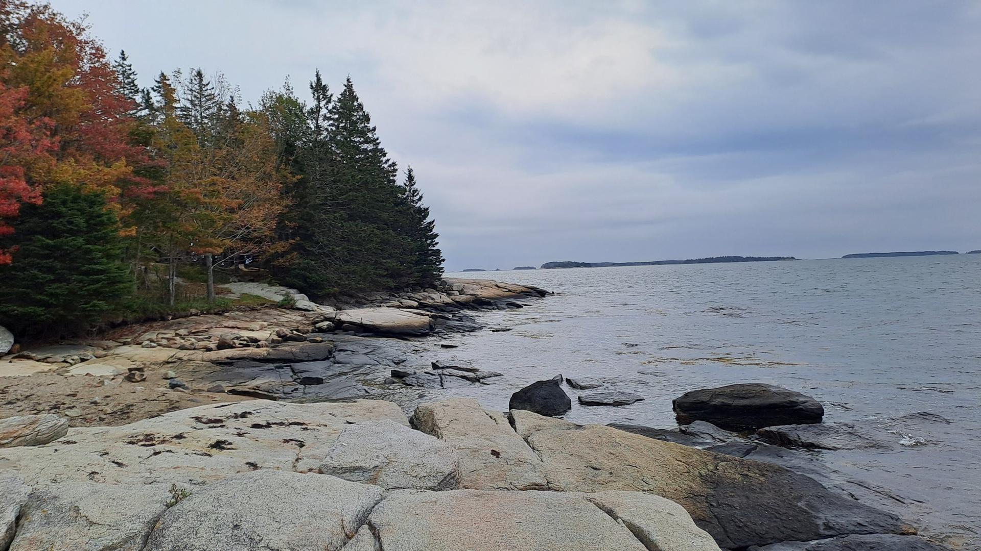 Rocky coastline with autumn trees under an overcast sky, ocean with distant islands.