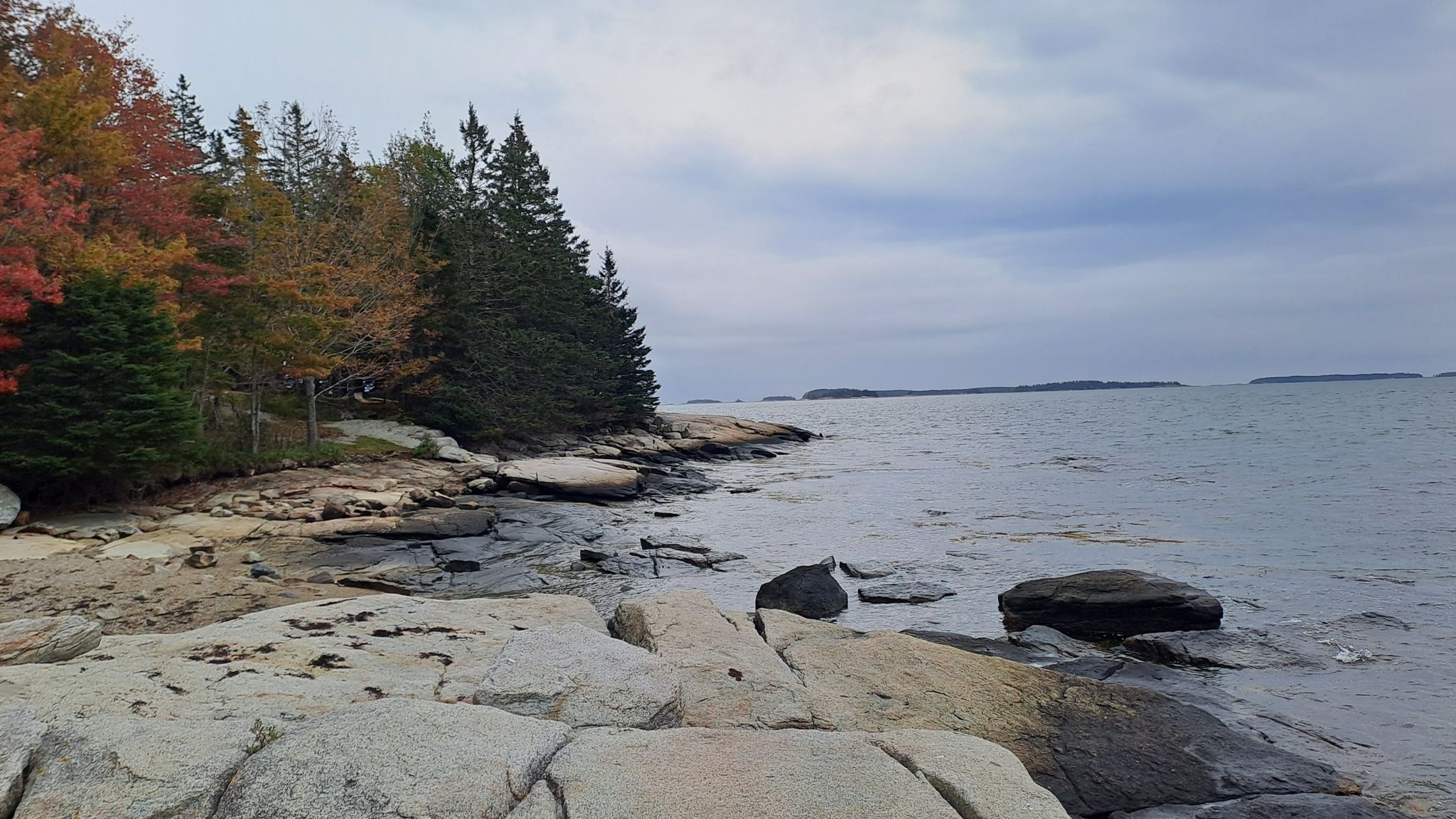 Rocky coastline with autumn trees under an overcast sky, ocean with distant islands. - East Coast Greenway: Thomaston to Birch Point