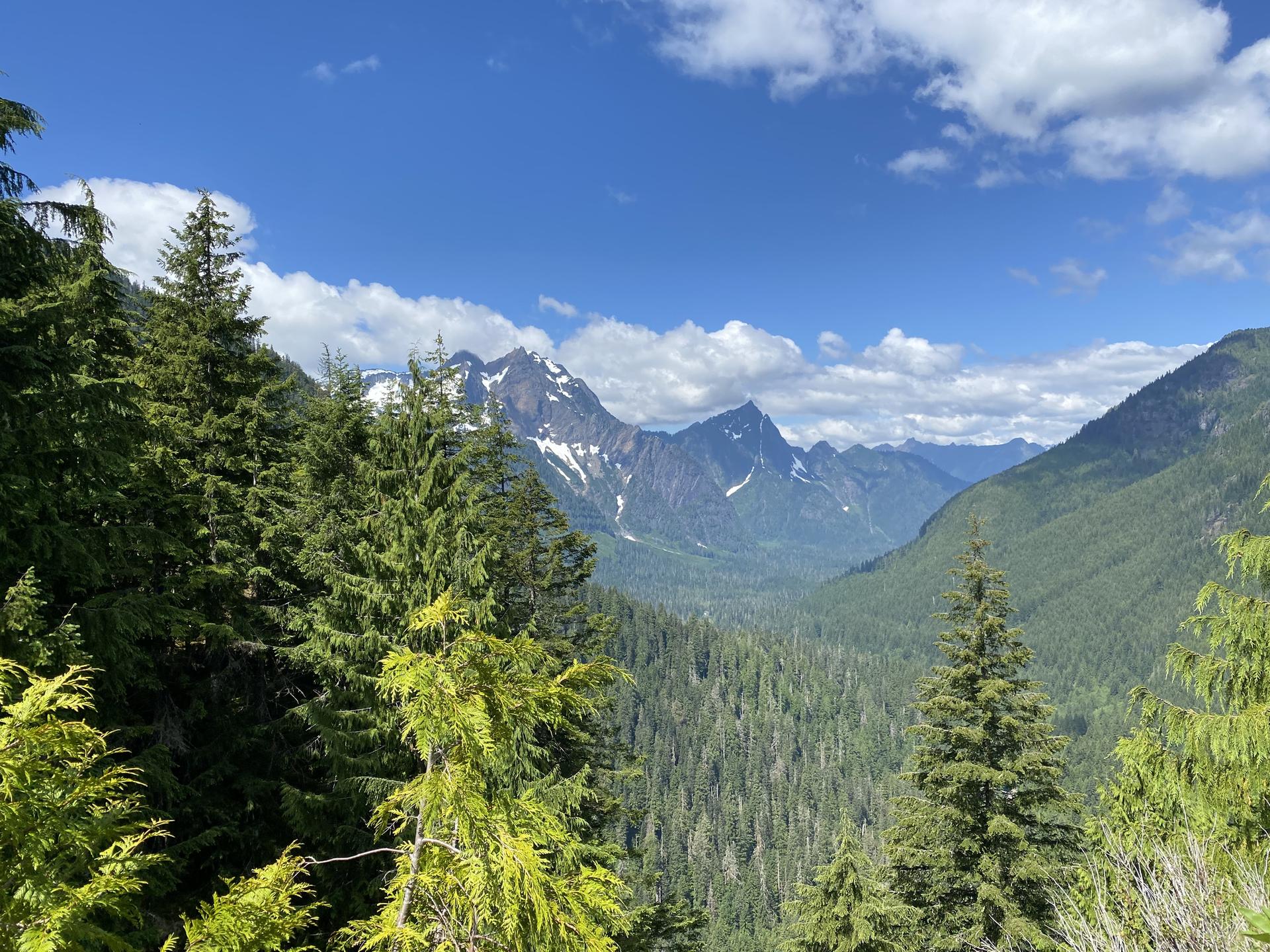 Sunny mountain landscape with evergreen trees and distant snow-capped peaks under blue sky.