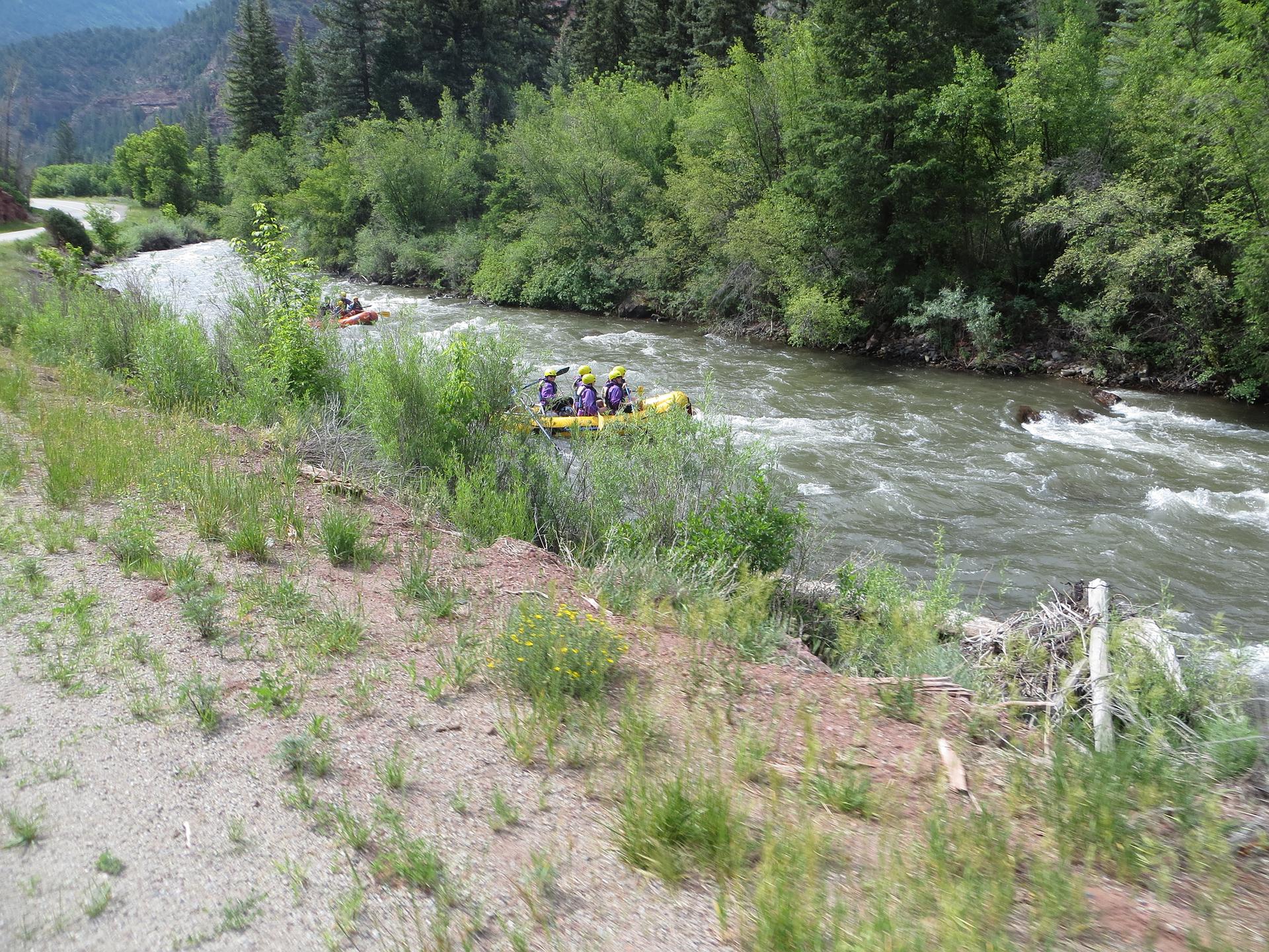 Bright day, people rafting on a river through a green, forested landscape.