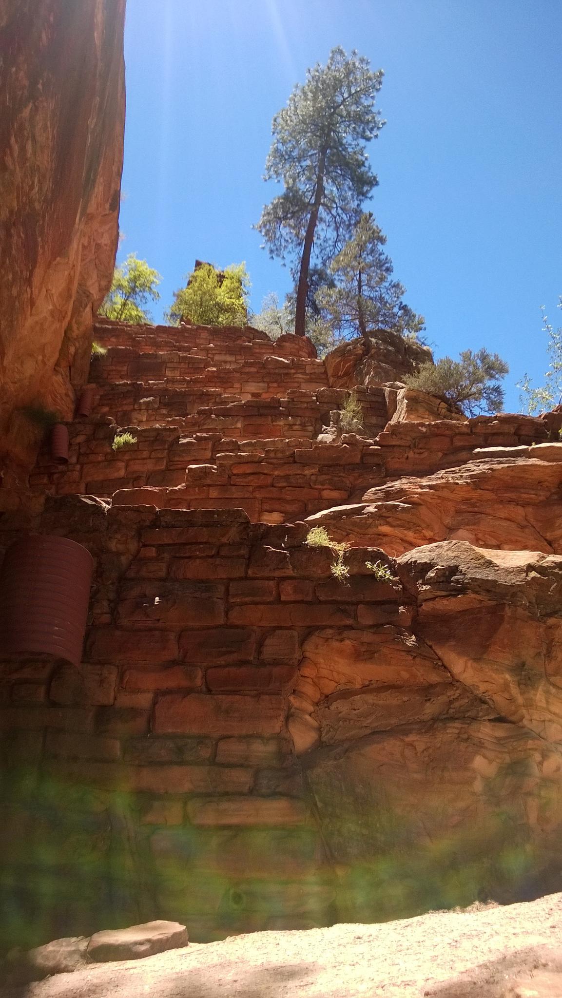 Sunlight streams over ancient rock walls and a tall pine tree against a blue sky.