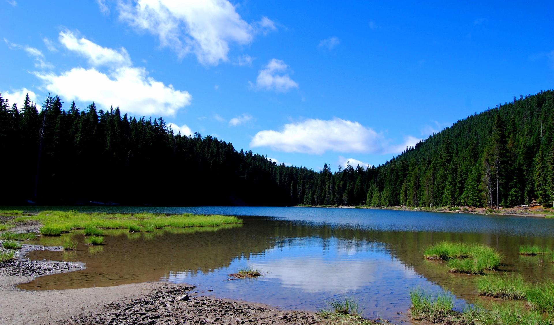 A serene lake reflecting a bright blue sky, surrounded by dense green forests.