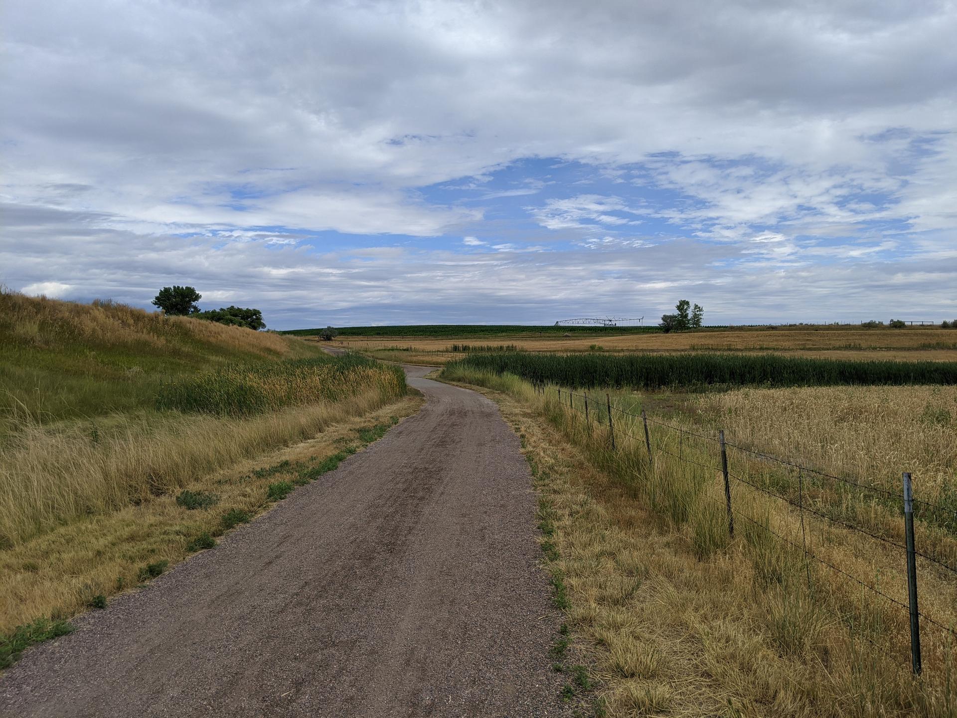 A dirt road winding through green and golden fields under a cloudy sky.