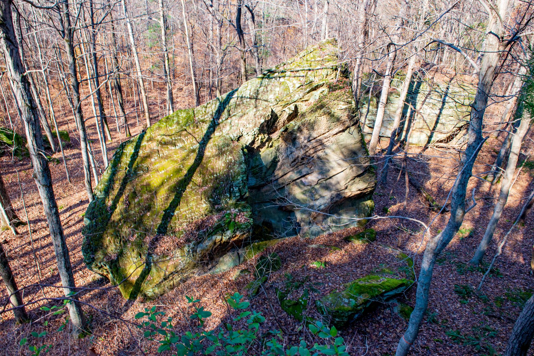 Large mossy rock in a sunlit forest with bare trees and fallen leaves.