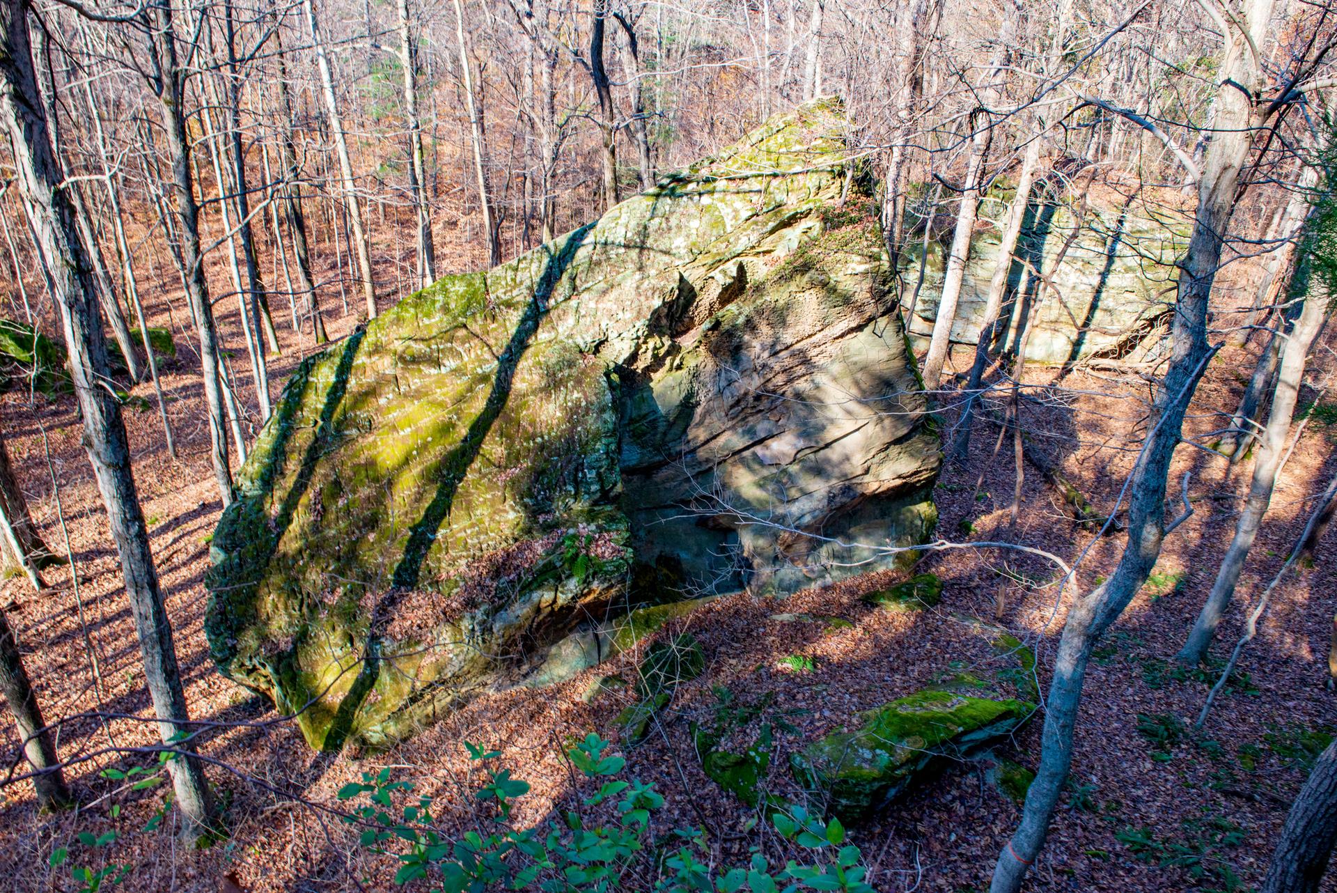 Large mossy rock in a sunlit forest with bare trees and fallen leaves.