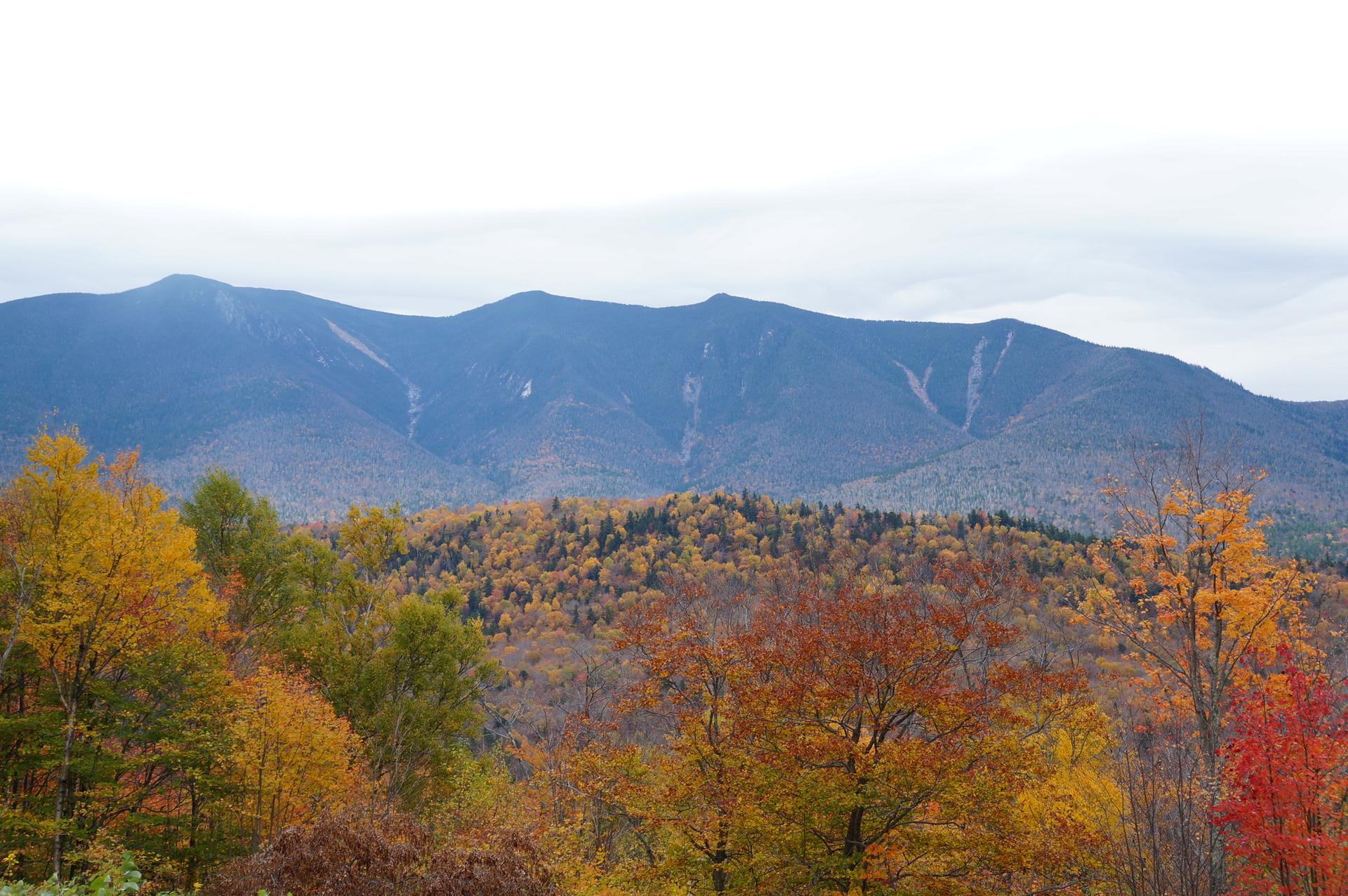 Distant mountains rise above vibrant autumn trees under an overcast sky.