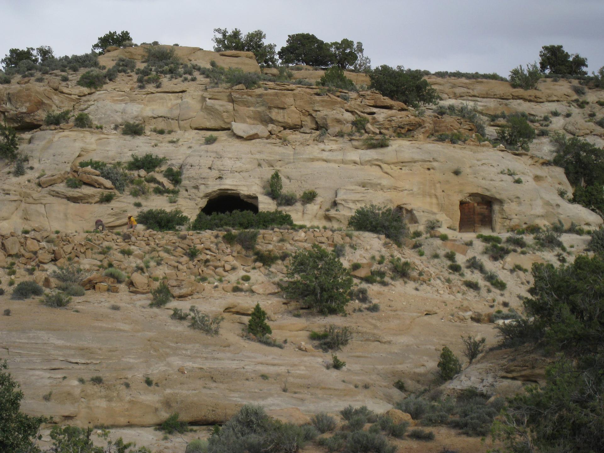 Rocky cliff face with two dark cave entrances under an overcast sky.