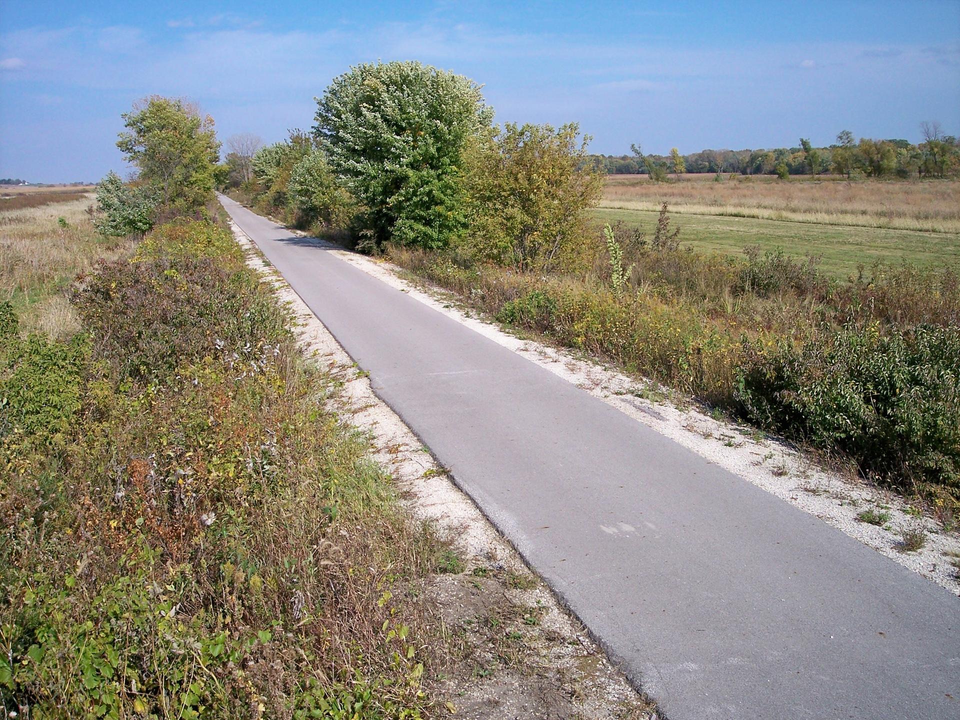 A paved path stretches through sunny fields with trees alongside.