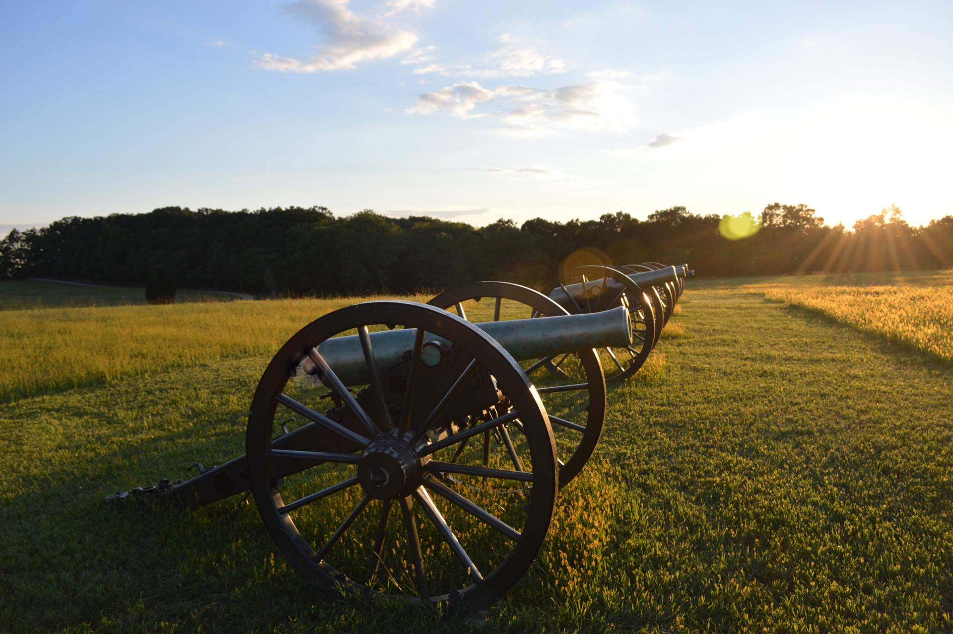 A line of cannons sits in a golden field at sunset, with bright sun.