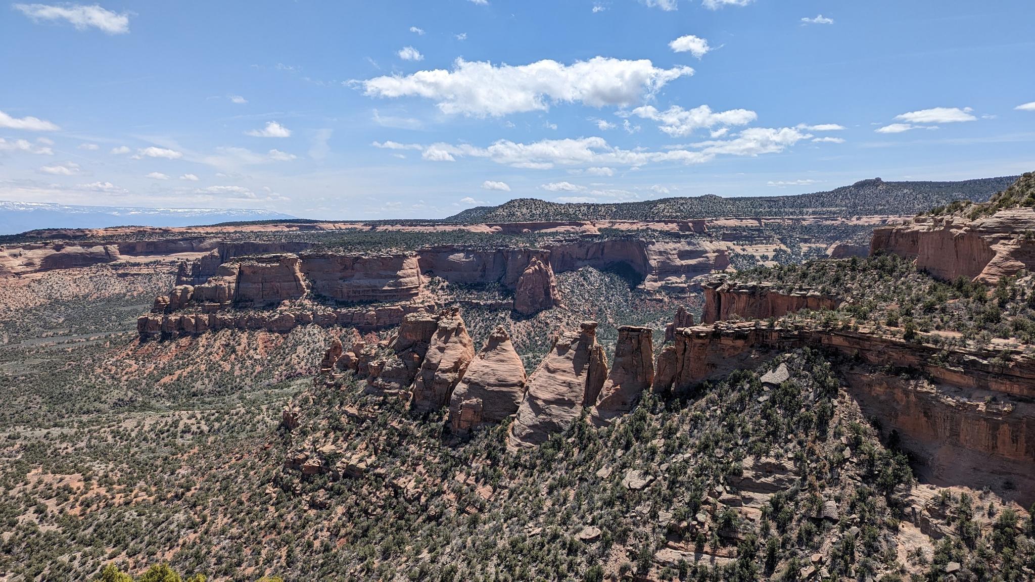 Vast canyon landscape with numerous rock formations and green shrubs under a bright sky.