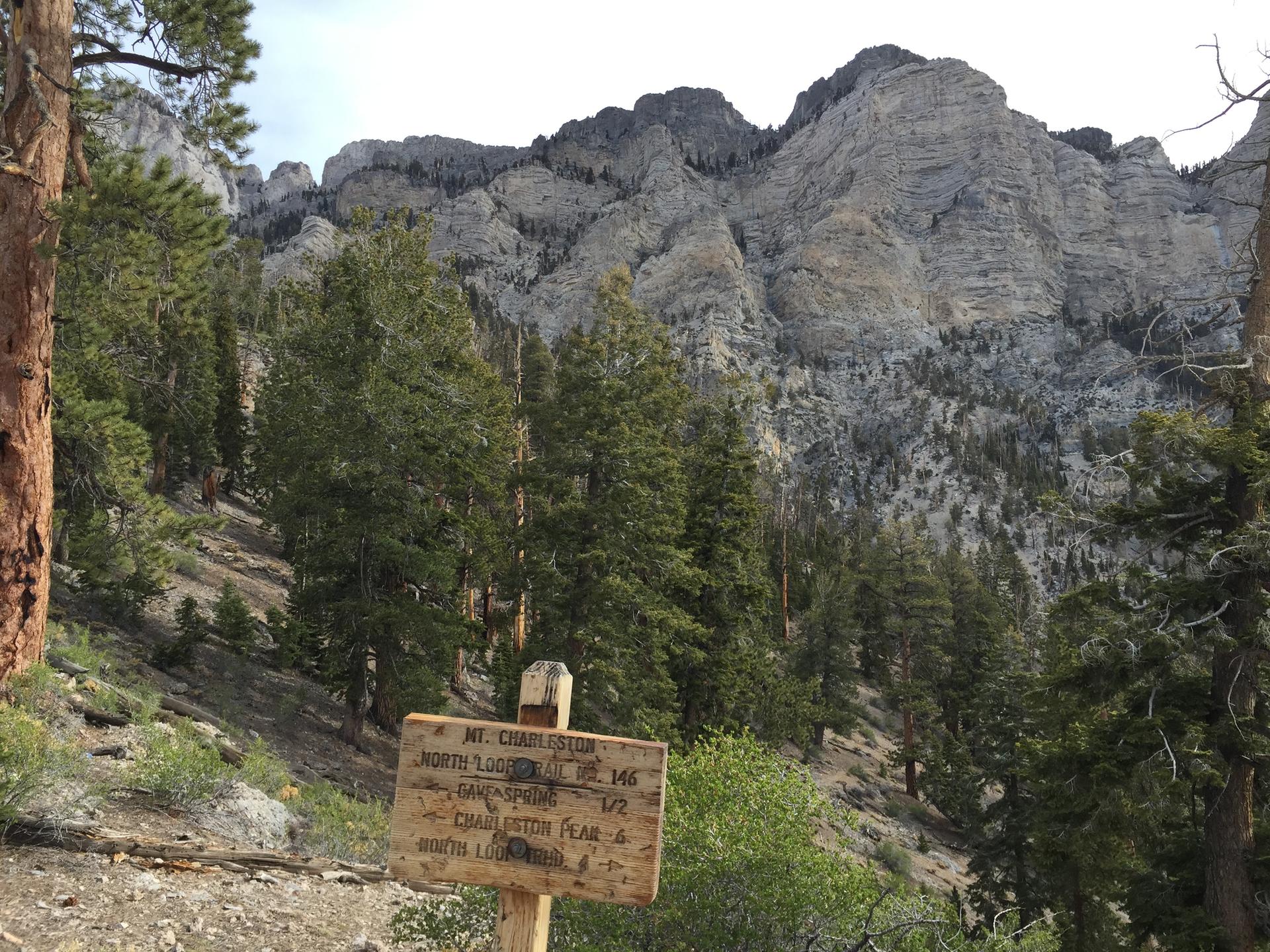 Wooden trail sign at the base of a towering rocky mountain.