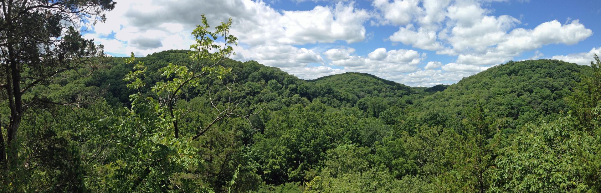 Panoramic view of lush green forested hills under a bright, cloudy sky.