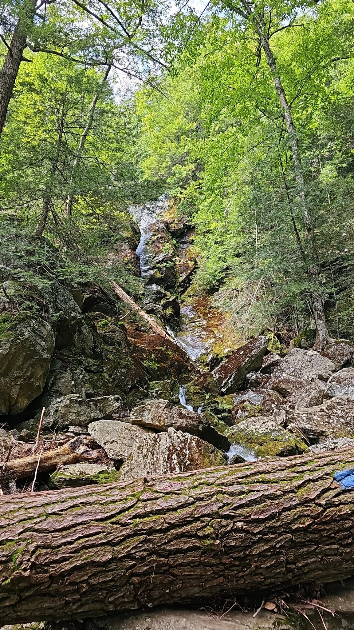 Waterfall cascading over rocks in a green forest, with a large fallen log.