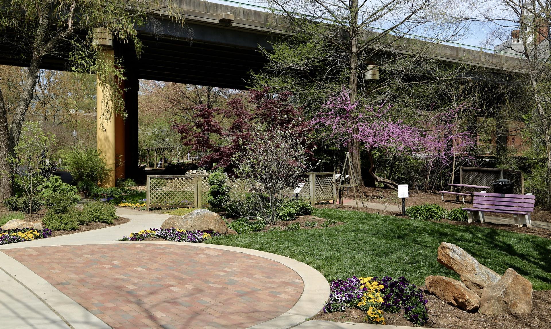 Park area with blooming trees and a purple bench under a concrete bridge.
