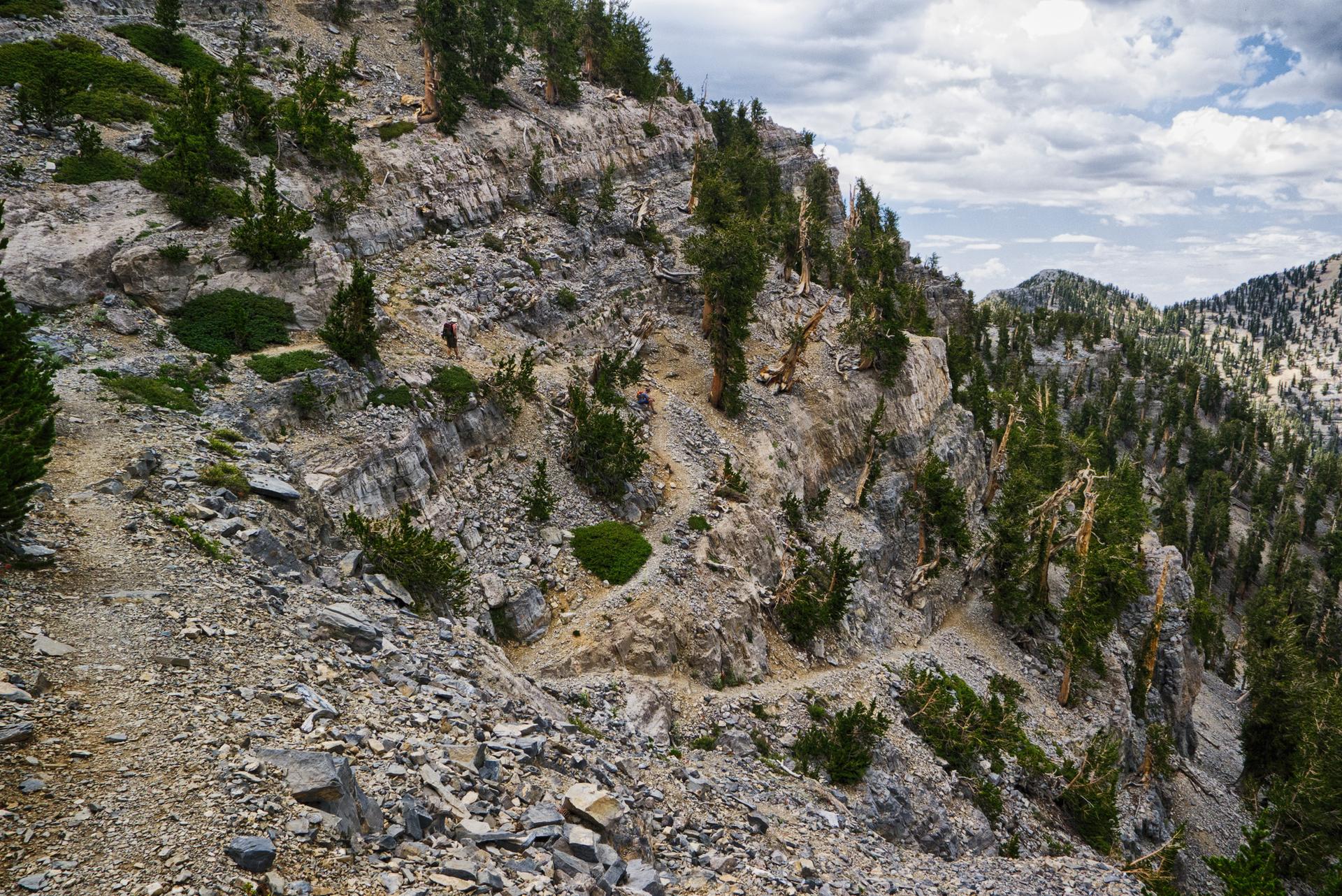 Steep, rocky mountain trail winding along a cliff face with trees.
