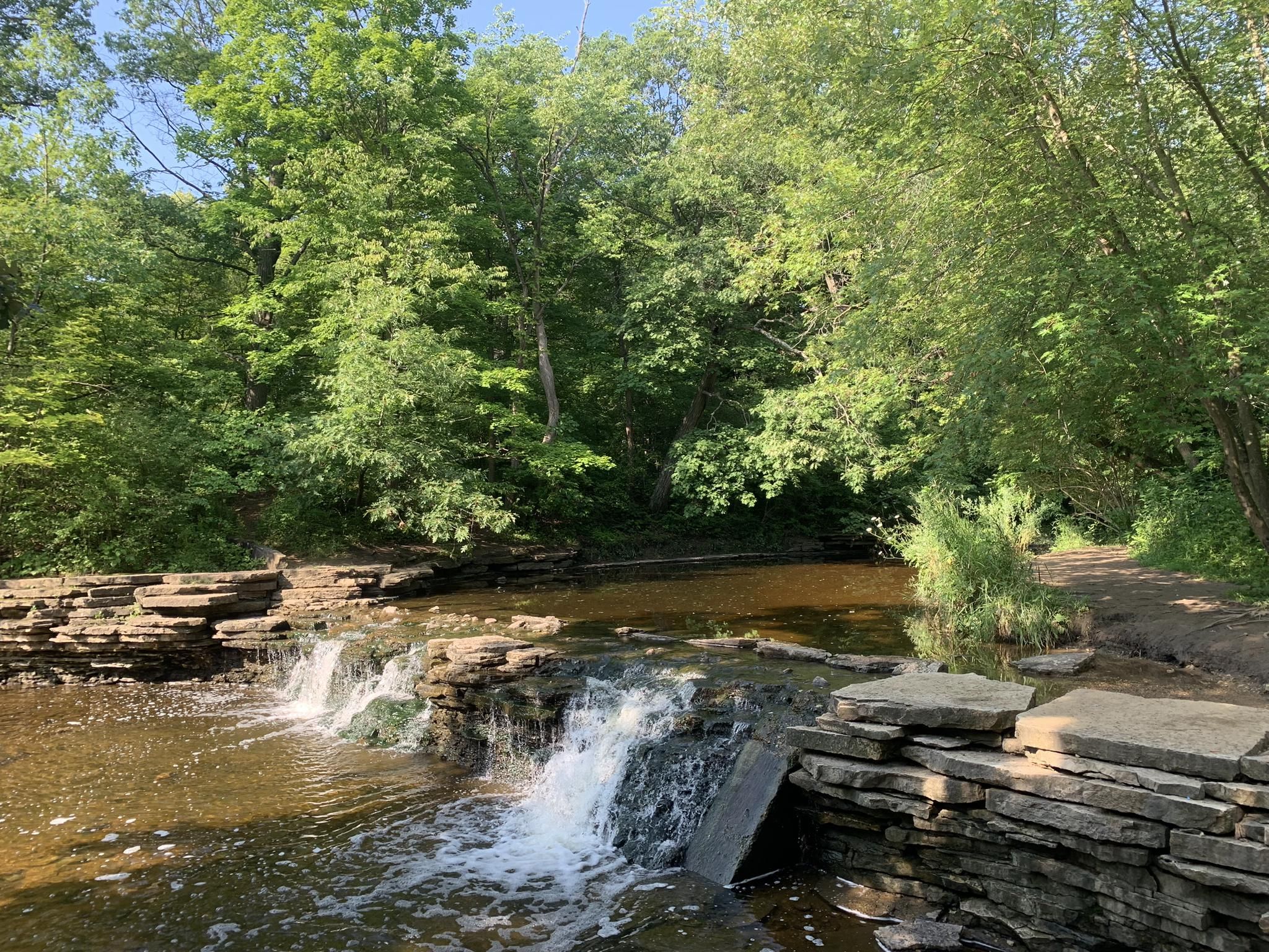 Small waterfalls cascade over rocks in a sunny, lush green forest. - Waterfall Glen Main Trail