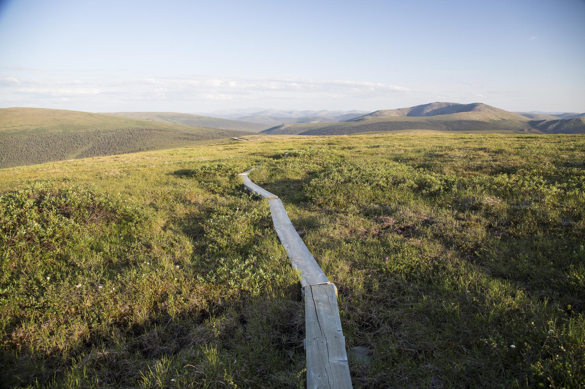 Wooden boardwalk winding through green, hilly landscape under bright sky.