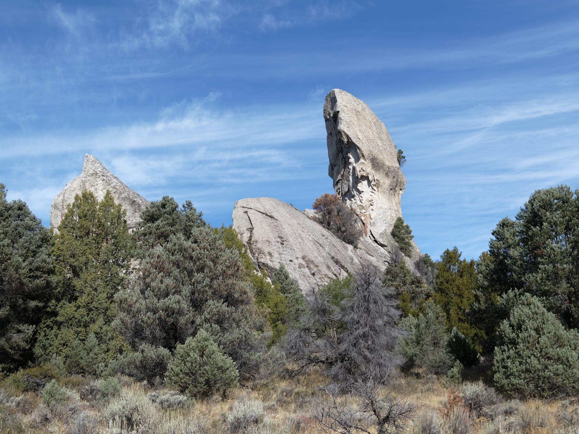 Dramatic tall rock formations rise above a forest of green and gray trees.