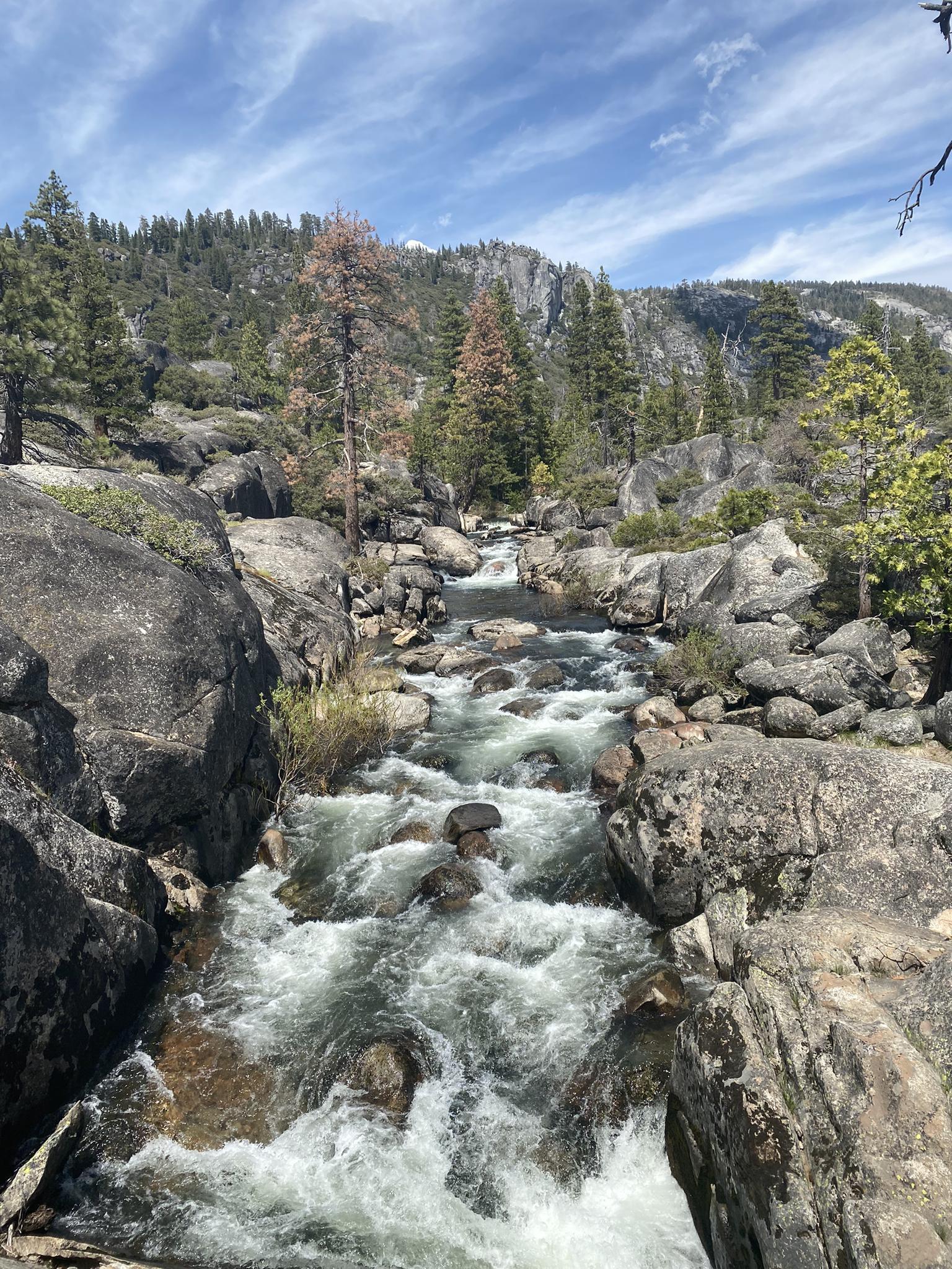 Rushing river flowing over rocks in a forested, rocky landscape.