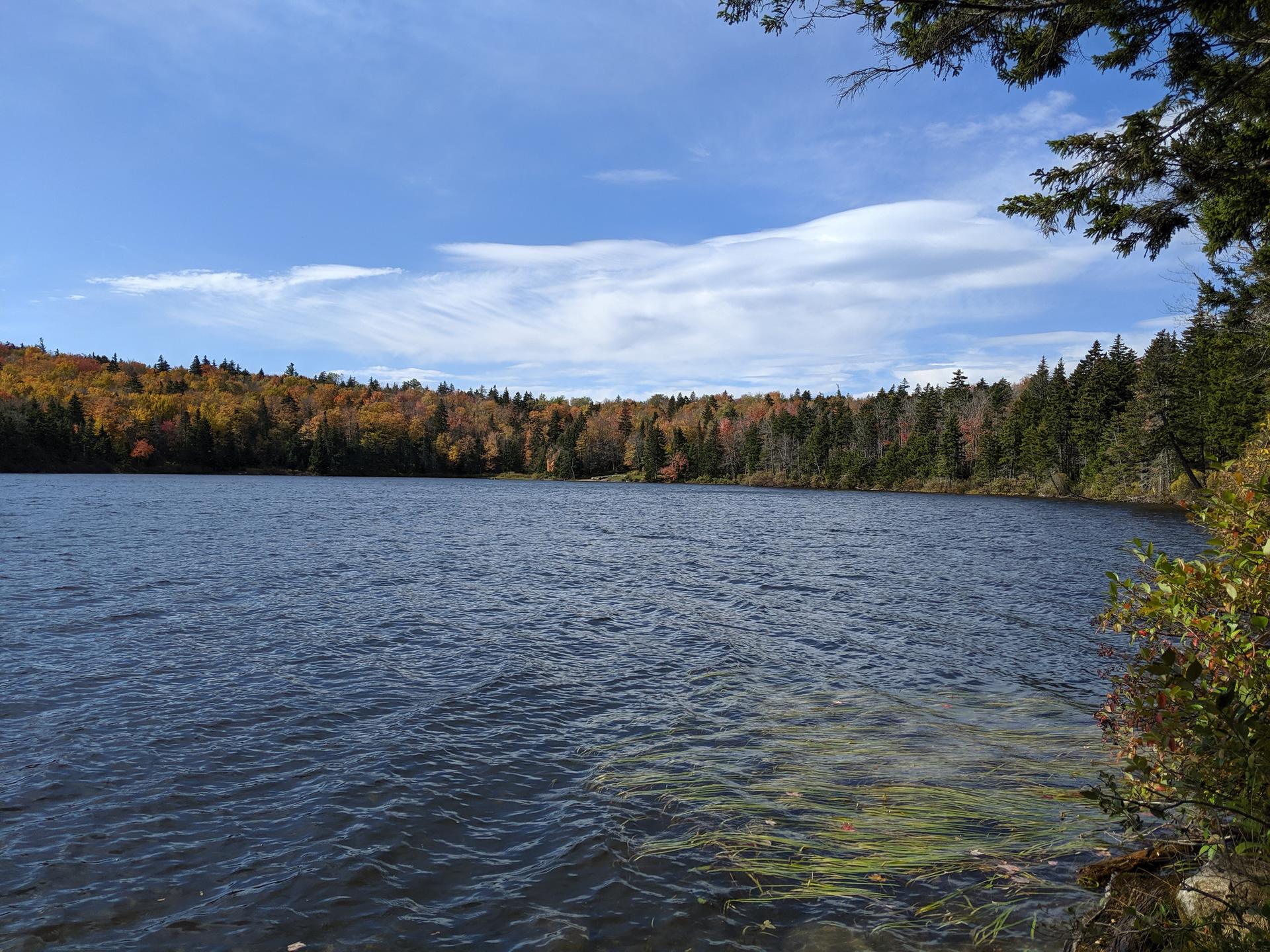 A serene lake surrounded by a vibrant autumn forest under a bright blue sky.