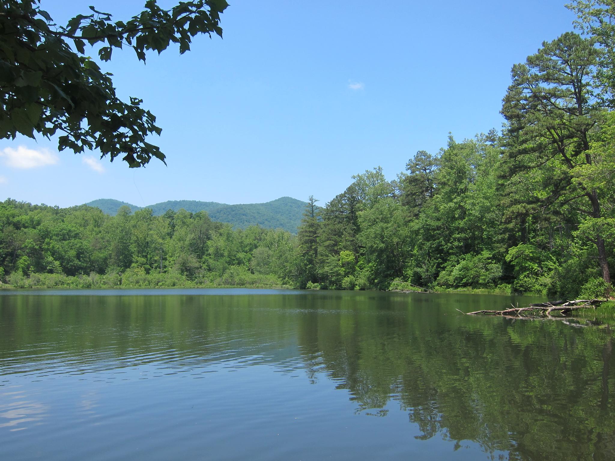 A calm lake reflecting green trees and distant mountains under a clear sky.
