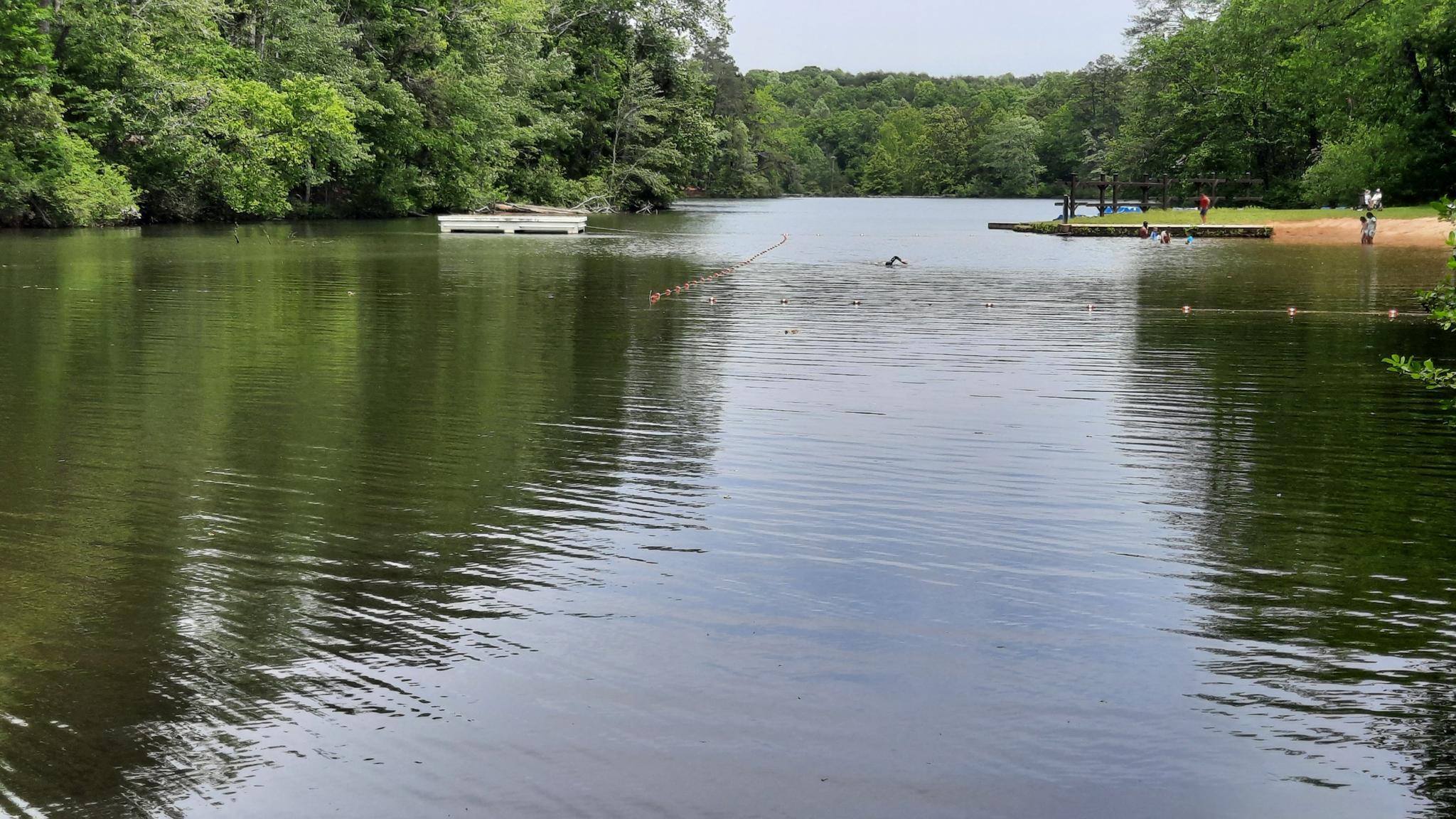 A wide lake with a white boat, distant dock, and people swimming.