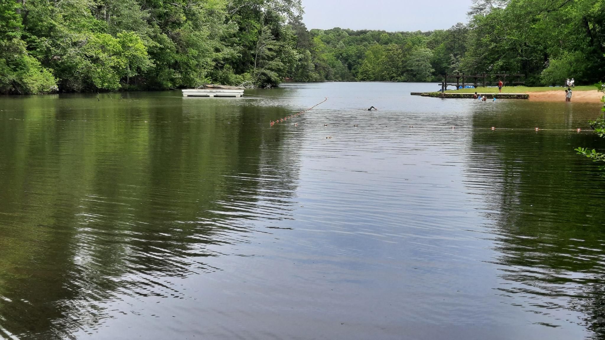 A wide lake with a white boat, distant dock, and people swimming. - Sassafras and Mountain Creek Trails Loop