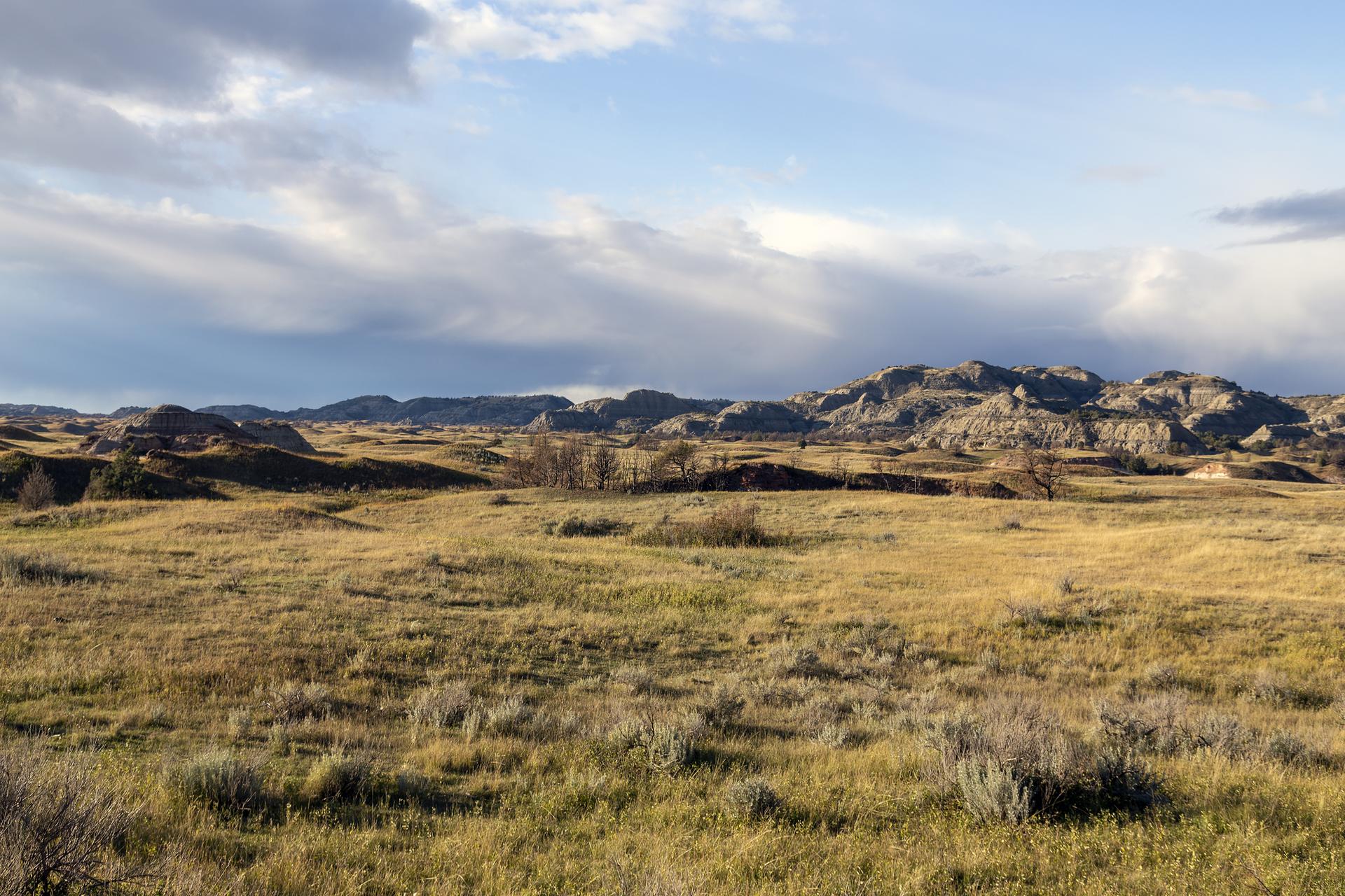 Expansive golden grassland under a dramatic cloudy sky, with distant rugged hills.