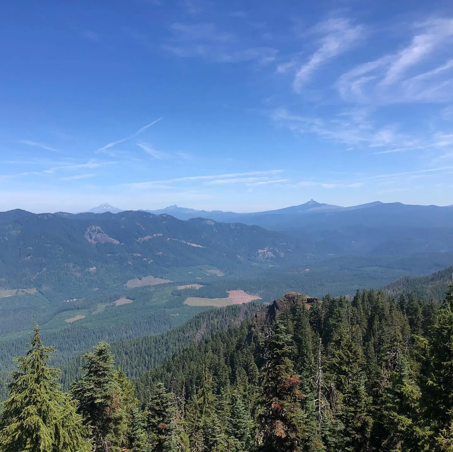 Expansive mountain vista with dense evergreen forests under a bright blue sky.