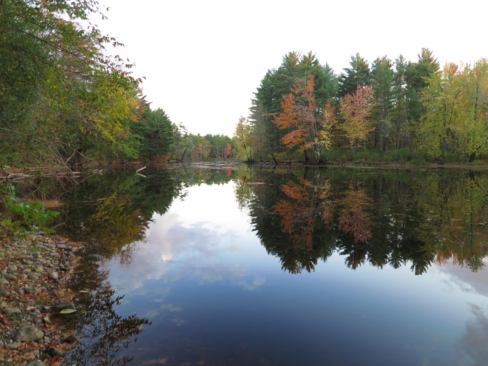 Calm water reflecting colorful autumn trees and sky under bright light.
