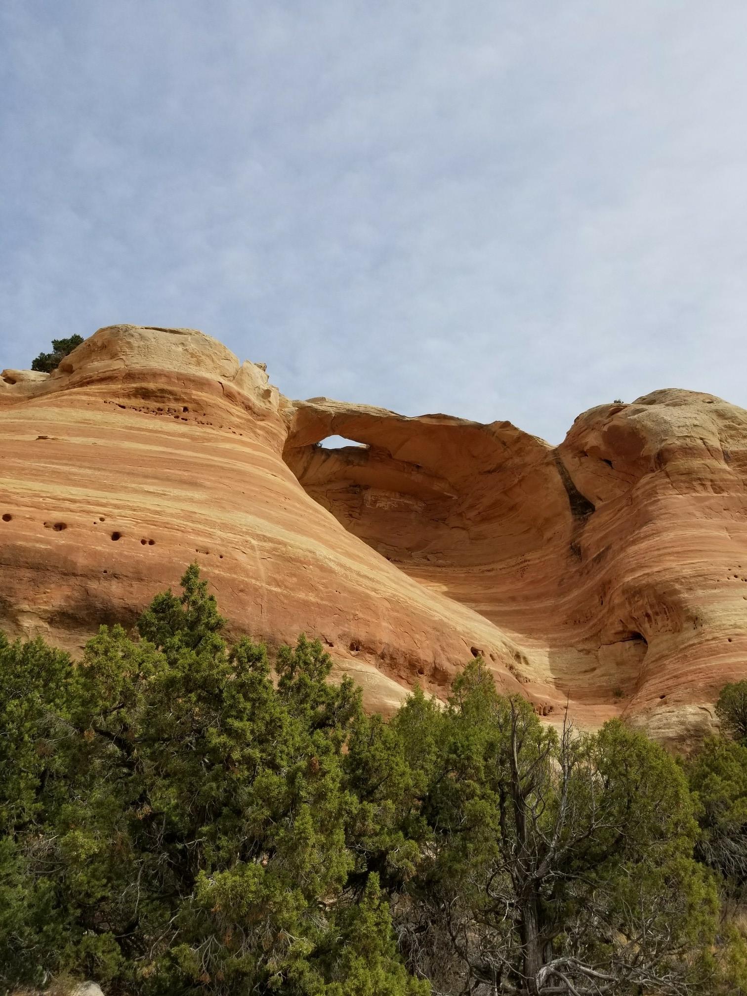 A natural rock arch in a layered sandstone formation with green trees under a cloudy sky.