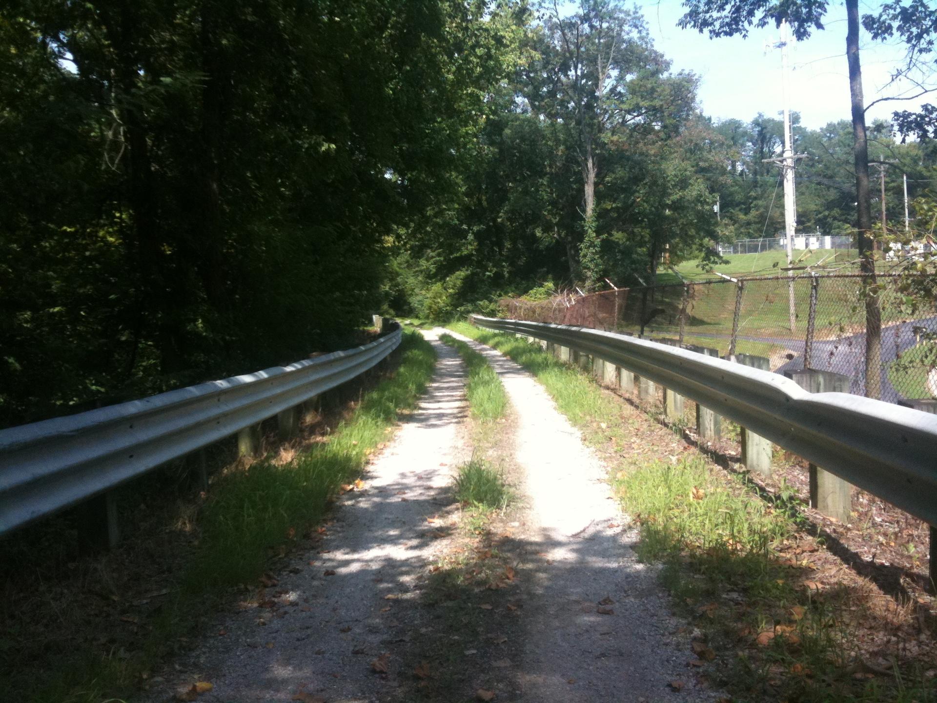 Gravel road with guardrails, flanked by dense green trees on a sunny day.