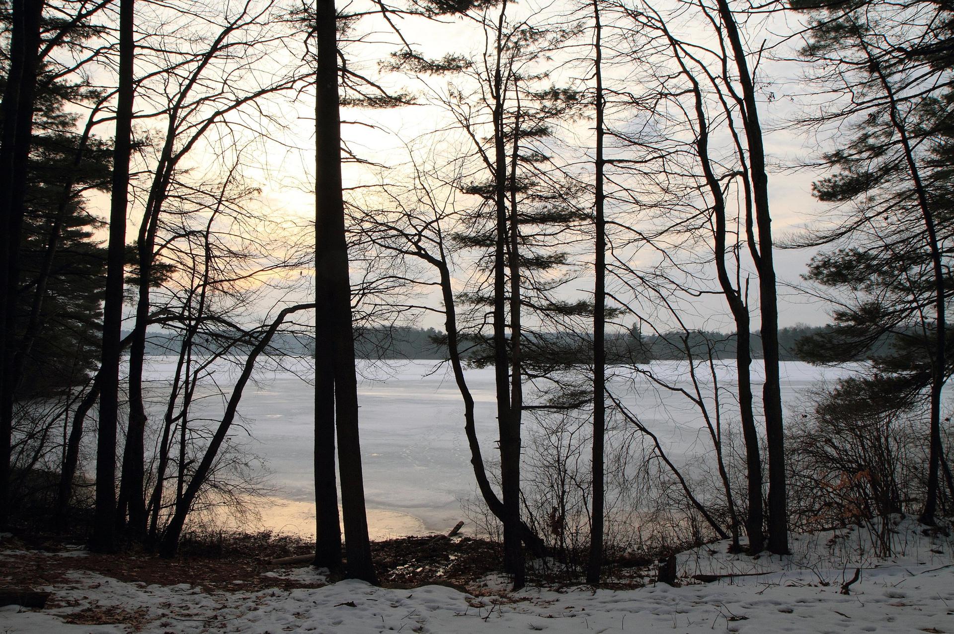 Silhouetted trees frame a snow-covered landscape with a frozen lake at dusk.