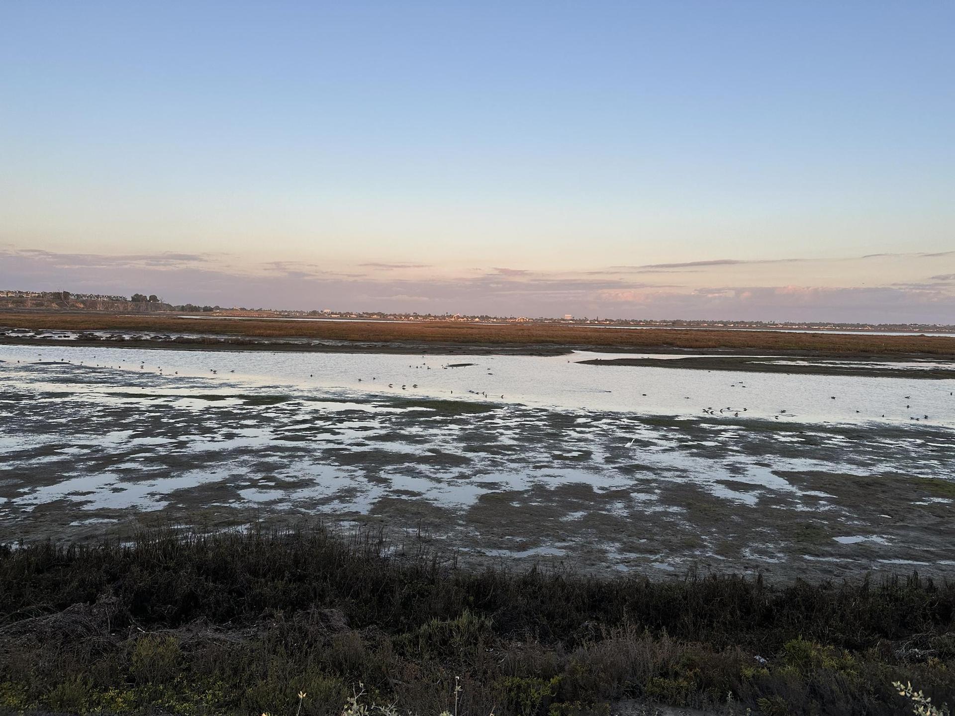 Expansive wetland at dusk with calm water reflecting soft sky.