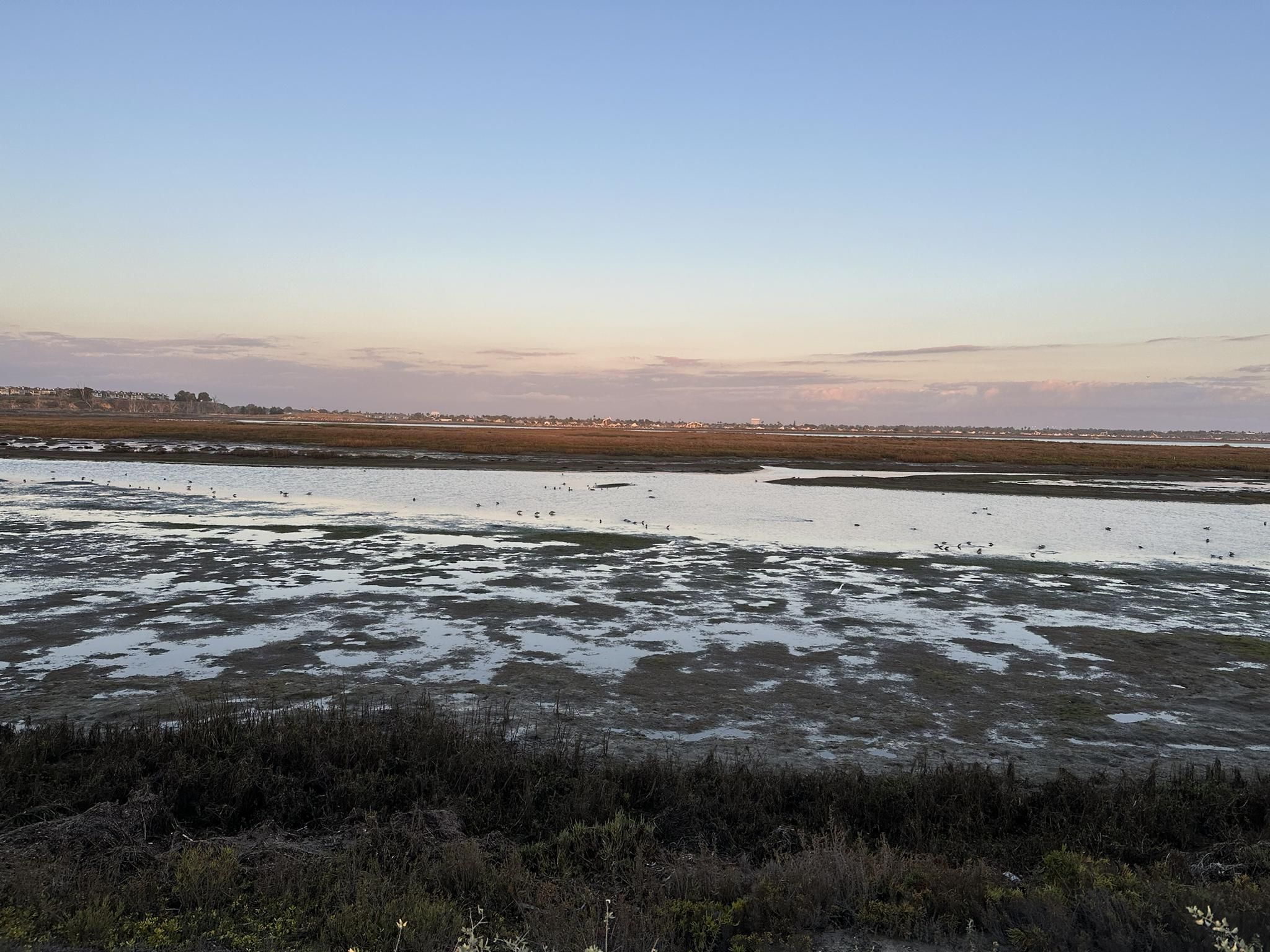 Expansive wetland at dusk with calm water reflecting soft sky. - Huntington Beach Bike Trail