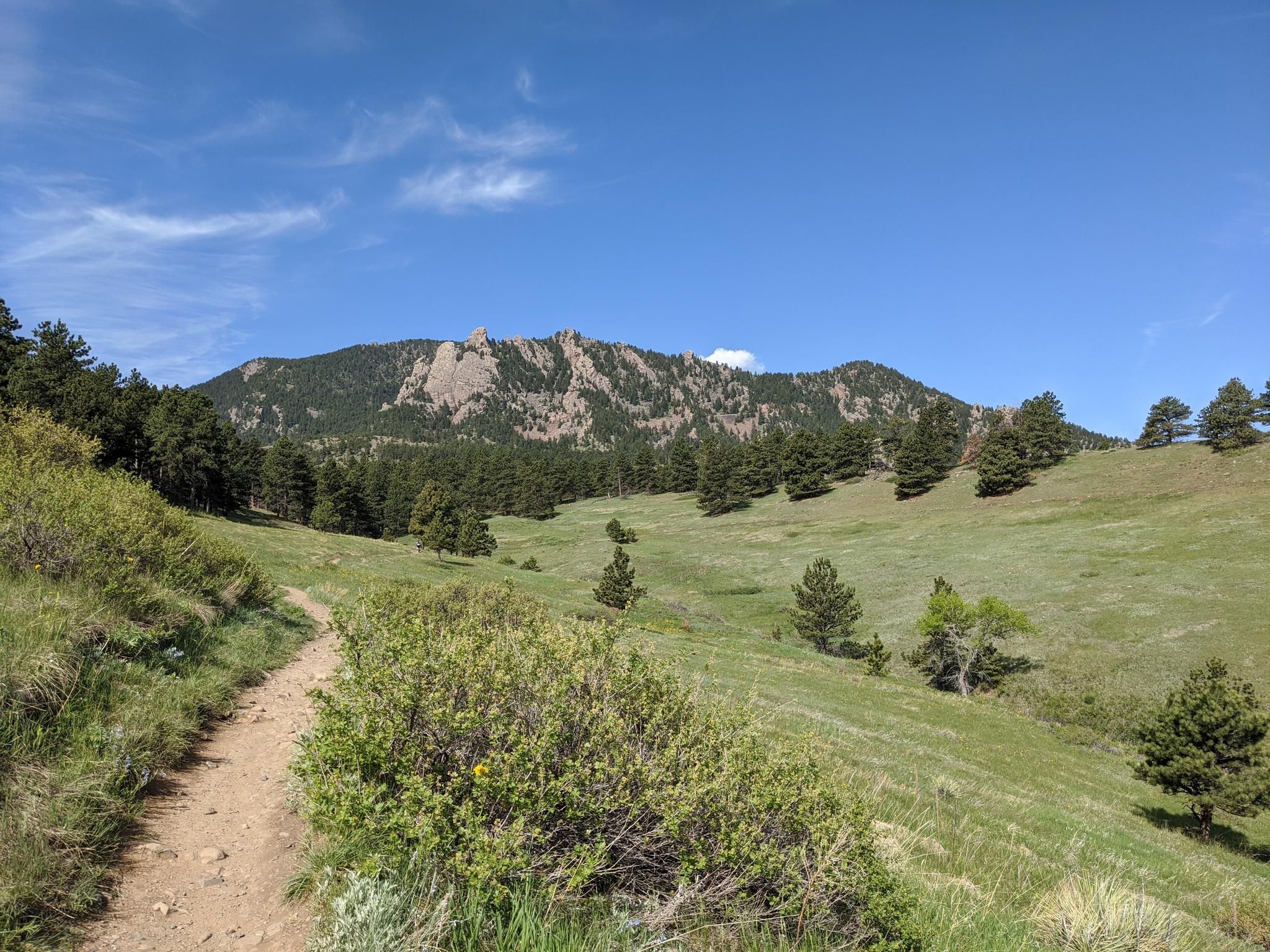 Dirt path through green hills leading towards forested mountains under blue sky. - Greenbelt Plateau, Community Ditch and Flatirons Vista Loop