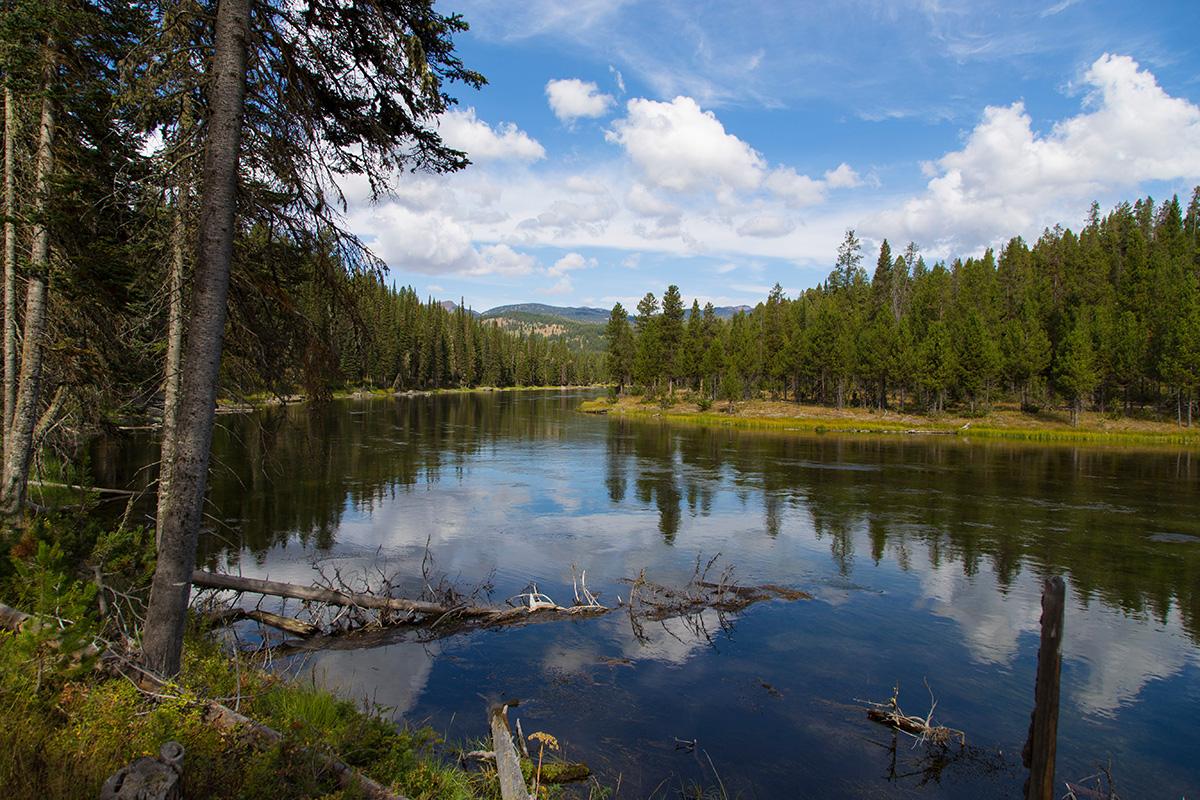 Wide river reflecting trees and sky, flowing through a dense forest.